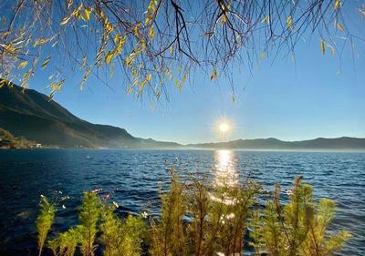 旅游企業(yè)業(yè)務全線復蘇 上調(diào)業(yè)績目標，'只要給機會，一定能一躍而起'