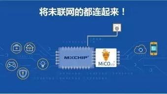 互聯(lián)網(wǎng)的蛻變 從虛擬世界到智能生態(tài)的融合